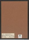 Craspedoporus elegans Grove et Sturt. (de-Toni-Nr.: Genus 180, Species 4483) Zeichnungen Sammlung Grunow Mappe 04405 (Herbarium_W_Grunow_drawings_Folder_04405)